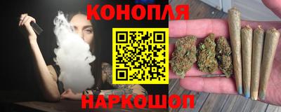 дмт Будённовск