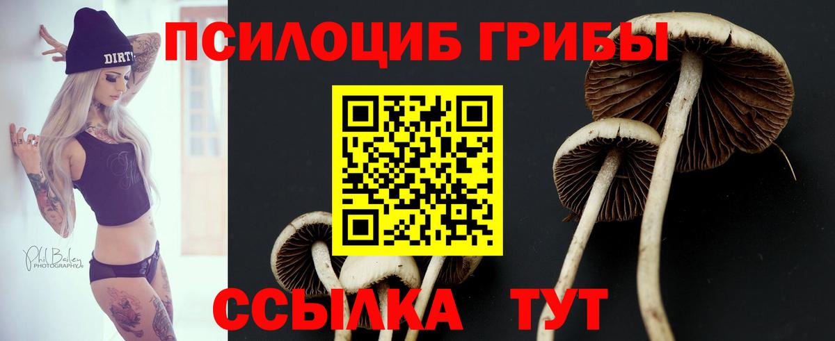Красноармейск  наркотики  Псилоцибиновые грибы ЛСД  Вход с VPN  Галлюциногенные грибы Psilocybe 